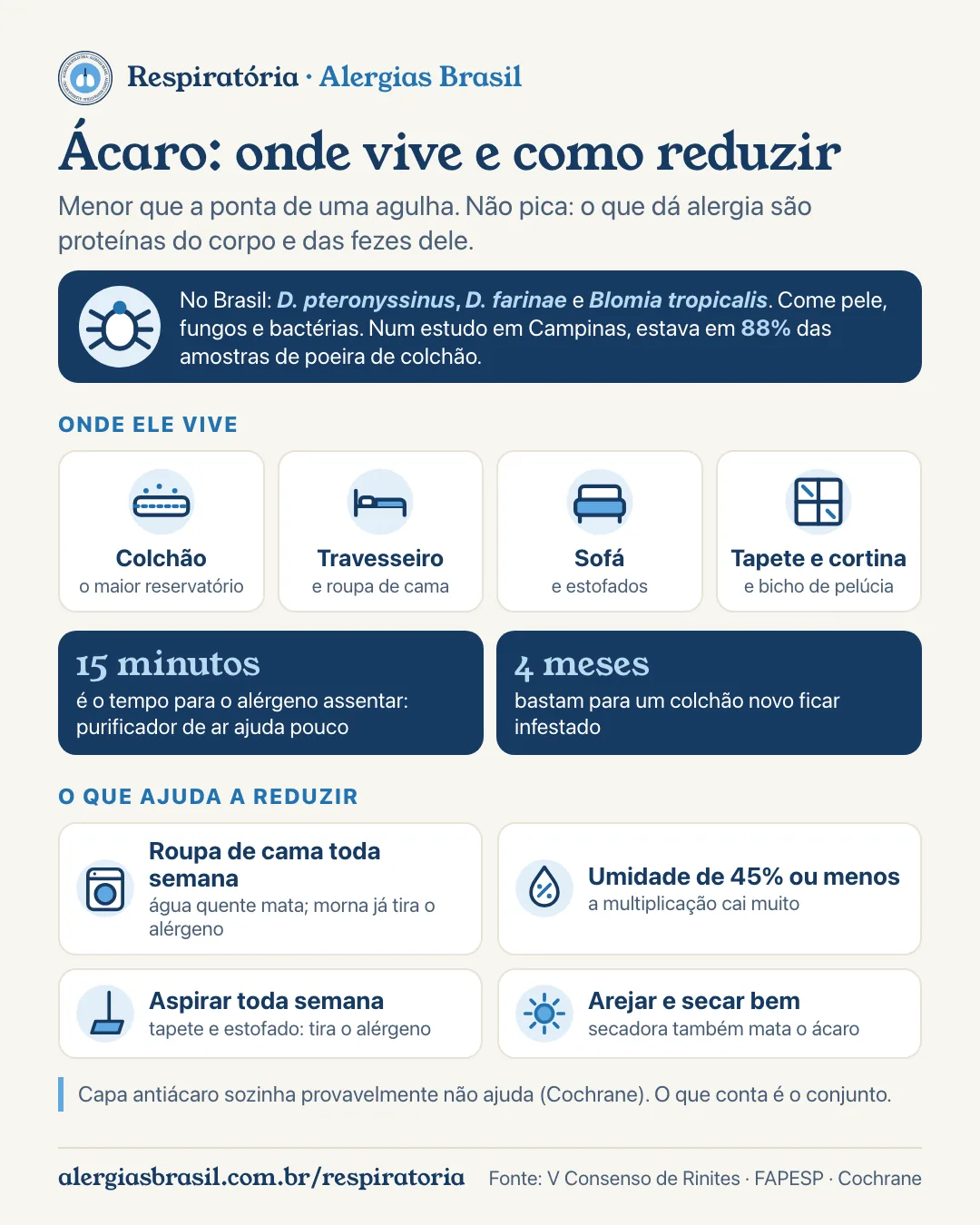 Infográfico ácaro: menor que a ponta de uma agulha; as três espécies das casas brasileiras; onde vive (colchão, o maior reservatório, travesseiro, sofá, tapete, cortina, pelúcia); o que come (pele, fungos, bactérias); gosta de umidade, e umidade de 45% ou menos derruba a multiplicação; o alérgeno assenta em cerca de 15 minutos; o que ajuda: lavar roupa de cama toda semana, aspirar, arejar