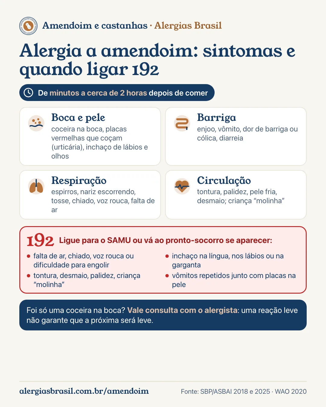 Infográfico alergia a amendoim sintomas: aparecem de minutos a cerca de 2 horas depois de comer. Boca e pele: coceira na boca, urticária, inchaço de lábios e olhos; barriga: enjoo, vômito, dor, diarreia; respiração: espirros, tosse, chiado, voz rouca, falta de ar; circulação: tontura, palidez, desmaio, criança molinha. Ligue 192 se houver falta de ar, chiado, voz rouca ou dificuldade para engolir, inchaço na língua, nos lábios ou na garganta, tontura ou desmaio, ou vômitos repetidos com placas na pele. Reação leve também merece consulta com o alergista