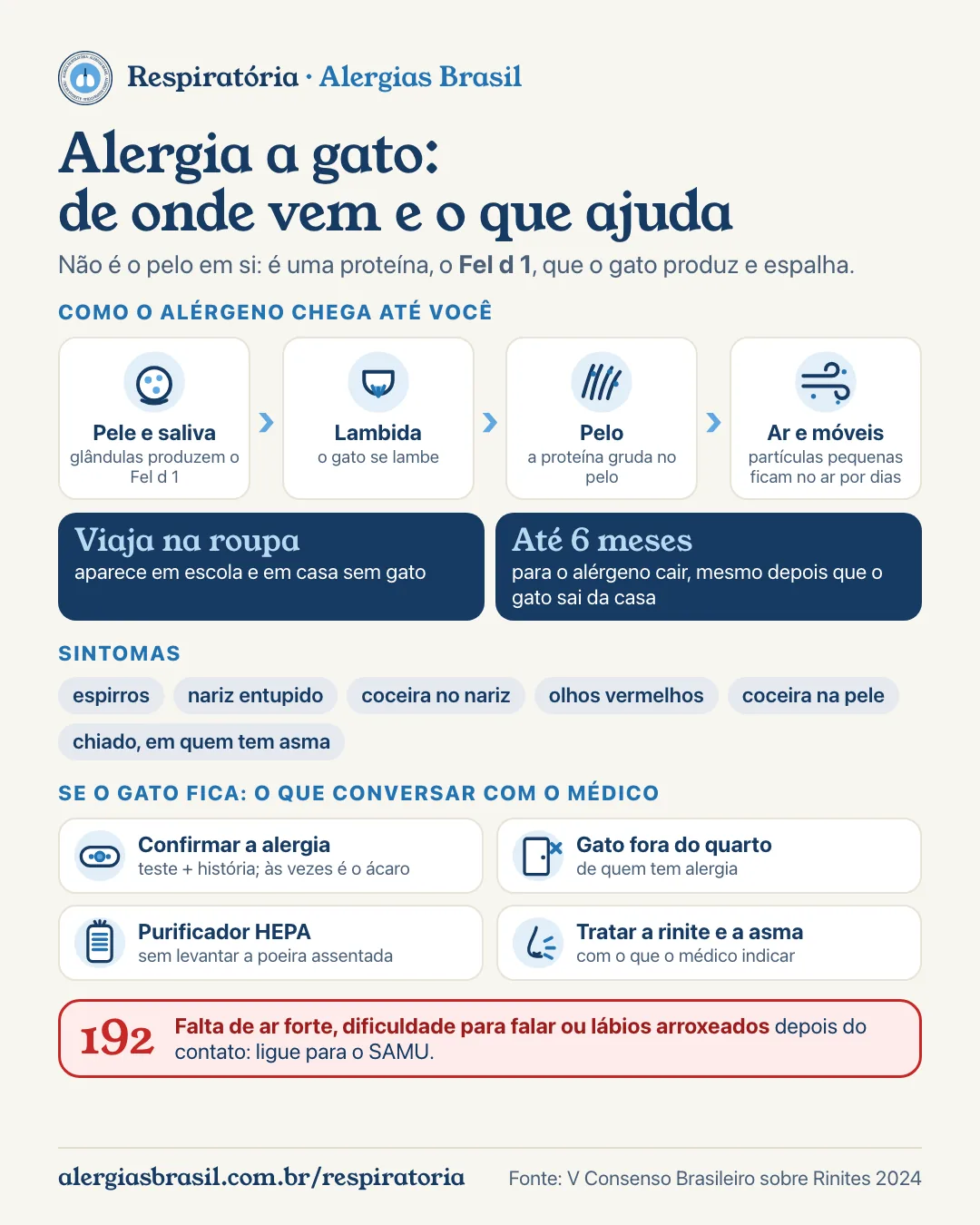 Infográfico alergia a gato: o alérgeno Fel d 1 nasce na pele e na saliva, vai para o pelo quando o gato se lambe, fica no ar por dias e viaja na roupa; sintomas no nariz, nos olhos, na pele e, em quem tem asma, chiado; o que conversar com o alergista: teste, gato fora do quarto, purificador com filtro HEPA, tratamento da rinite; falta de ar forte ou lábios roxos, ligue 192