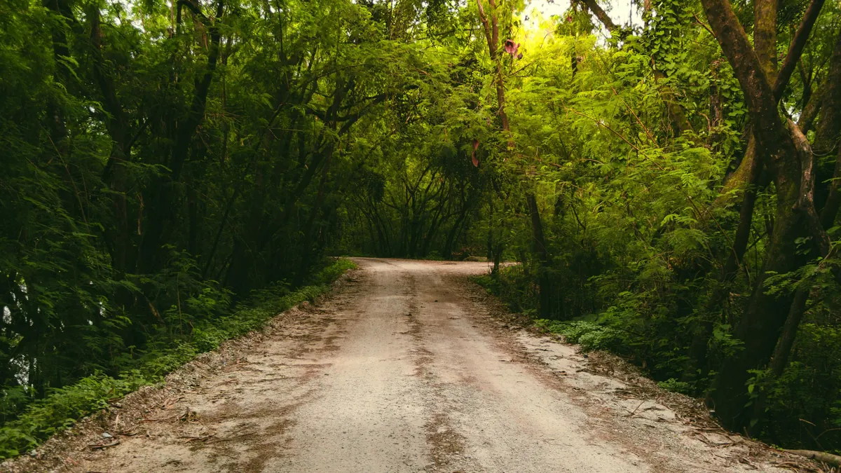 Estrada de terra no meio da mata verde, em Minas Gerais